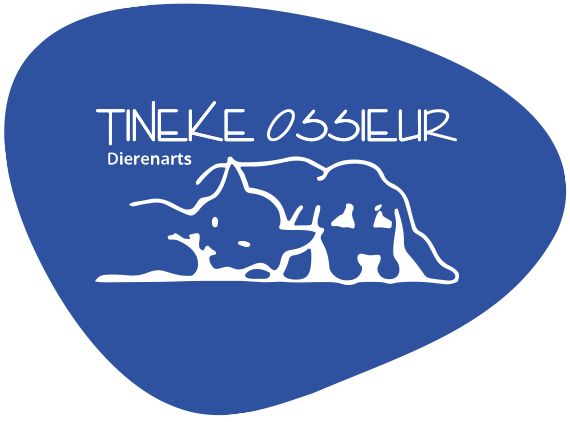 DAP Tineke Ossieur Logo